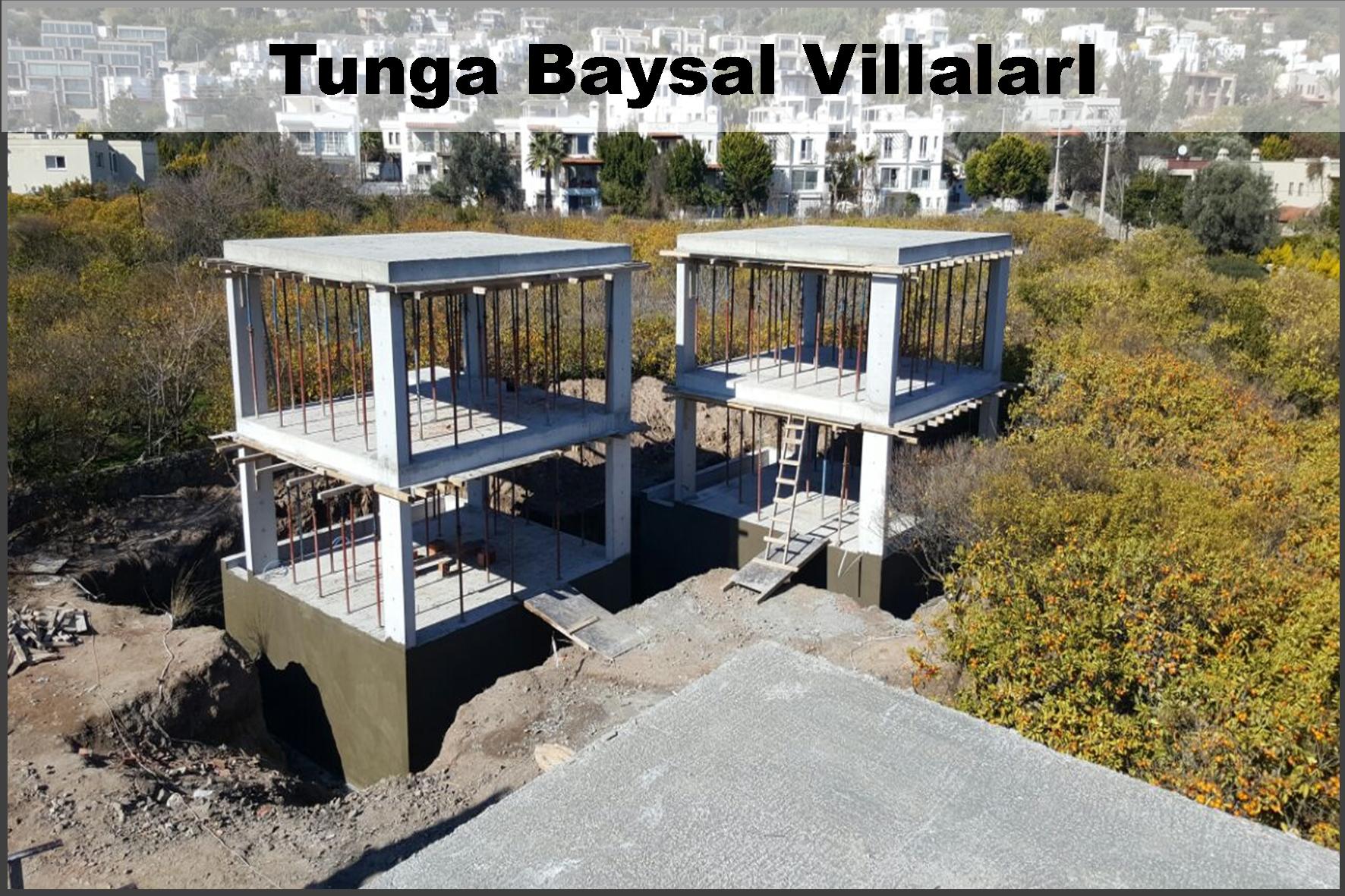 Tungabaysal